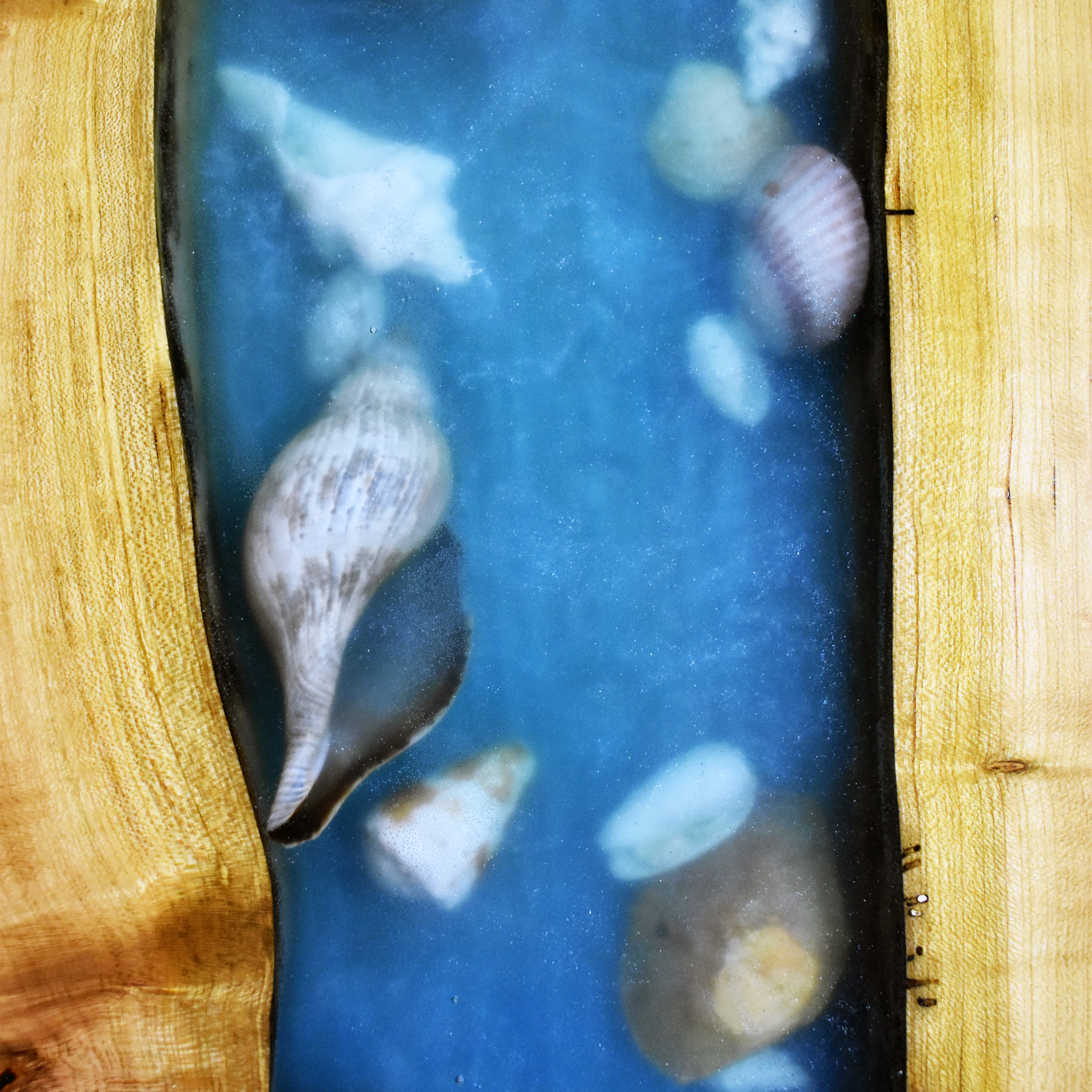 Embedded Seashells in Epoxy Resin River